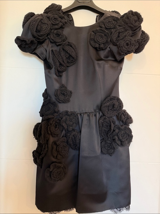 Dolce & Gabbana Dresses & Skirts - Dolce & Gabbana Black Mini Dress with 3D Floral Appliqués